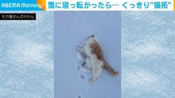 冷たいニャ～！ 雪に寝転がる猫 立ち去ったあとに残った見事な“猫拓”に反響多数
