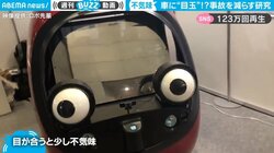 大きな目玉が付いた車 “驚きの効果”があるとの研究結果が話題に 「のちのモルカーになるのか？」反響続々