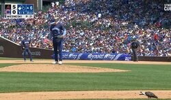 あっち行けよ！ 投手が思わずイライラ… あれは、何だ…！？ グラウンドに突然乱入→堂々と徘徊する“侵入者”が話題に 「ビビってないw」「直撃しなくてよかった」