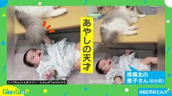 猫の尻尾に赤ちゃん大喜び 無意識であやす猫に「可愛いベビーシッター」「いいテンポでいい距離」絶賛の声