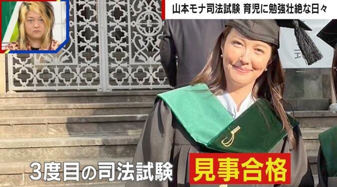 フリーアナウンサーの山本モナ氏