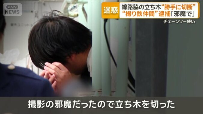 「邪魔だったので立ち木を切った」