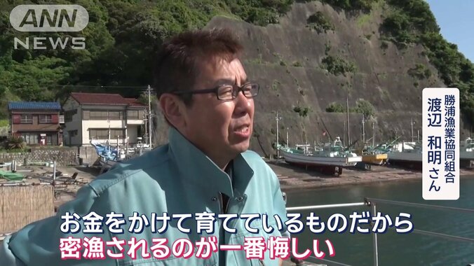 勝浦漁業協同組合 渡辺和明さん