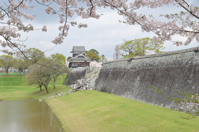 総工費600億円以上、工期20年…　地震から１年、前代未聞の大修復が始まる熊本城を取材 2枚目
