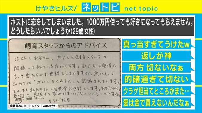 「ホストに1000万使っても好きになってもらえない」恋愛相談への水族館スタッフの回答が話題「返しが神」 2枚目