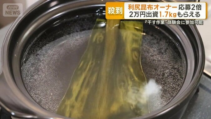 日本が誇るだし文化を支える一つ・昆布