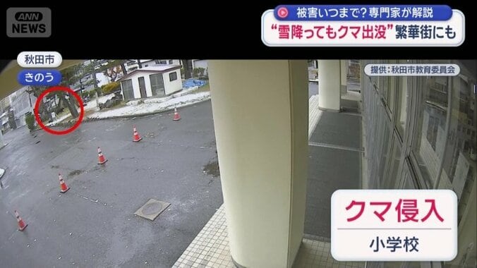 小学校にクマ侵入