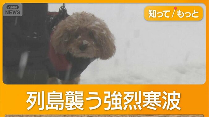 強烈寒波　青森・酸ヶ湯で積雪4.8m　東京も雪　北海道で4人乗り漁船不明 1枚目