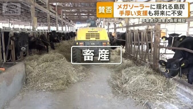 主要産業の1つ「畜産」