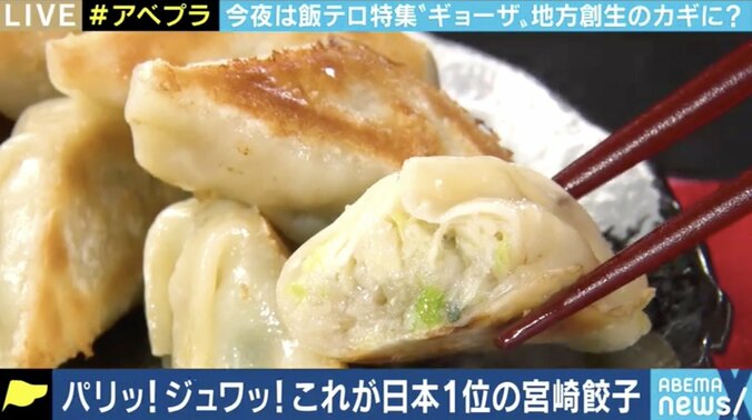 宮崎が“餃子の町”ランキング1位に 自宅で楽しむ文化で、宇都宮や浜松を初めて上回る 4枚目