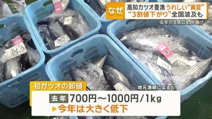 初ガツオの卸値