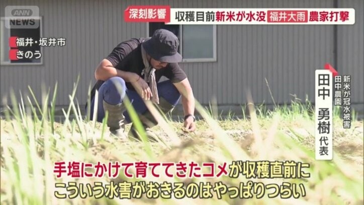 新米が冠水被害　田中農園　田中勇樹代表