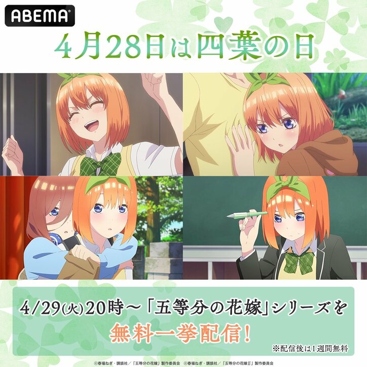 【写真・画像】4月28日は「四葉の日」！『五等分の花嫁』シリーズ一挙配信がABEMAで決定　1枚目