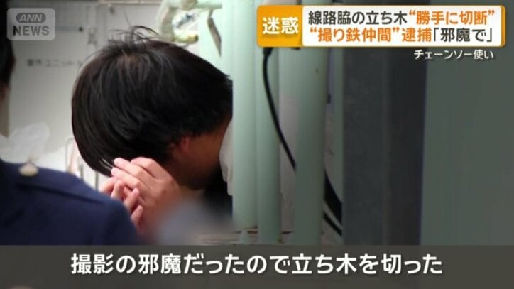 「邪魔だったので立ち木を切った」