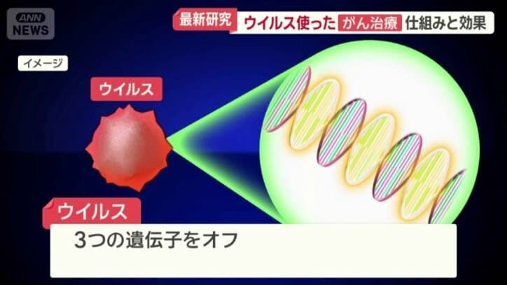 がん細胞で増え続け、正常細胞では増えず