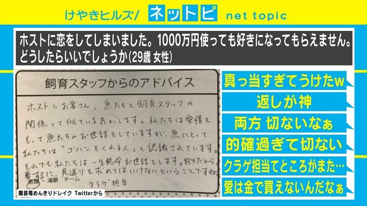 「ホストに1000万使っても好きになってもらえない」恋愛相談への水族館スタッフの回答が話題「返しが神」