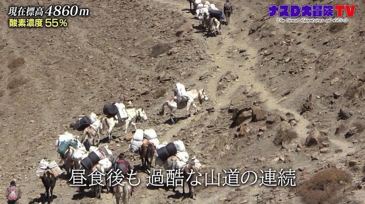 ナスD、過酷すぎる山道の連続…最後の峠は標高5000メートル越え