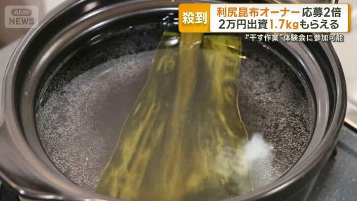 日本が誇るだし文化を支える一つ・昆布