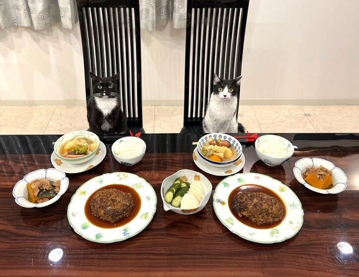  藤あや子、旅行帰りで作った夕食を自画自賛「凄いです」「最高」の声 