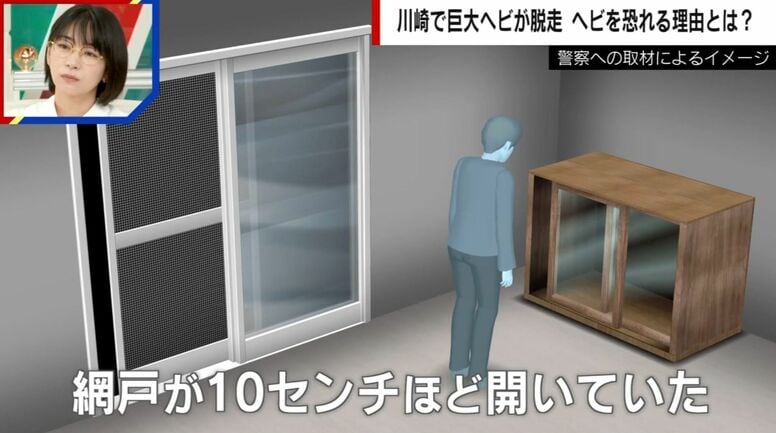 川崎市で巨大ニシキヘビ2匹が脱走…「エアコンの室内機に入り込む可能性」「狭い場所を探した方がいい」iZoo園長が指摘