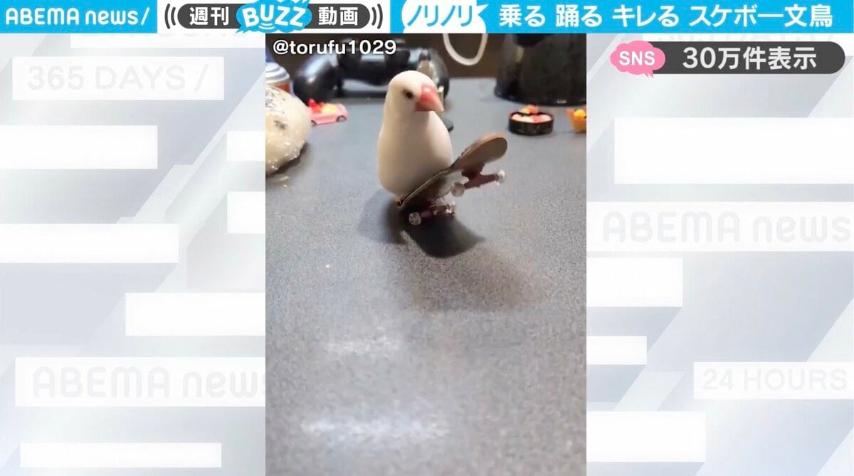 img_37cce205485de44a1b77a924a3