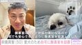 前園真聖、病気と戦う愛犬のため自宅に酸素室を設置「安心できるように」