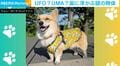 ボール遊び中に撮られたコーギーの“奇跡の1枚”に「AIかと思った！」「山梨県みたいな形w」