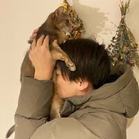 しょうくん『帰ってきた夢遊』