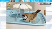 小鳥「全てはじき返しますけど、何か?」涼しい顔で見せた撥水力に189万人が驚愕