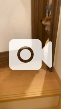 尾形あい『パパお留守番レポ』