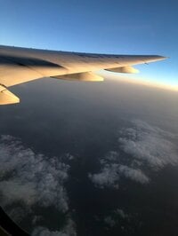 神田沙也加『韓国！』