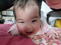 チェリー吉武『今日はお留守番』