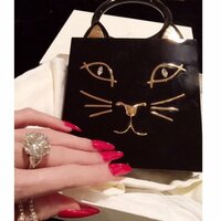 叶美香、姉・恭子の“ちょっとだけ何か入るバッグ”を紹介