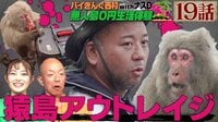 【アベマ限定】ナスD大冒険TV バイきんぐ西村の無人島0円生活体験withナスD19話(猿島編6)