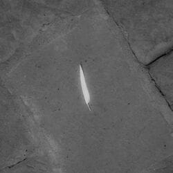 KMが、SPARTAを客演に迎えたシングル“Blue Hour feat. SPARTA”をリリース。