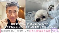 前園真聖、病気と戦う愛犬のため自宅に酸素室を設置「安心できるように」
