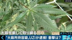 ラッパーUZIが大麻所持容疑で逮捕 大麻とヒップホップの関係は？合法化が加速するアメリカでは「酒・たばこと同じ」との声も