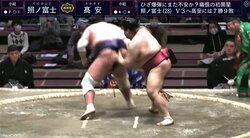 照ノ富士、土俵上でぐるぐる…2敗目 高安に惜敗も「ヒザに違和感ない」