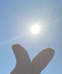  かとうかず子、3日連続で歯科医院を受診することを報告「残念なことにもう一度になり」 