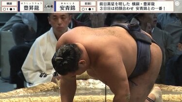 大相撲 小結・宇良 関取座布団 大相撲 小結・宇良 関取座布団