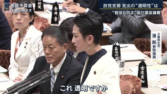 立憲民主党　蓮舫参院議員