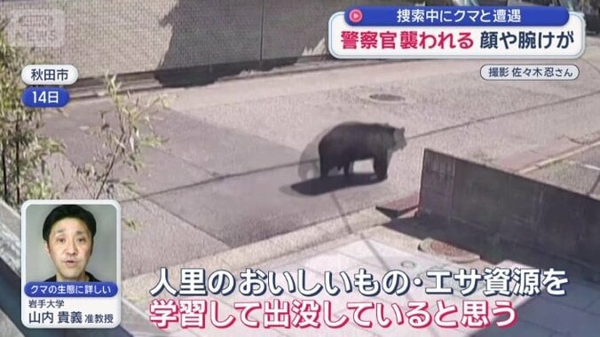 「人里のおいしいもの・餌資源を学習して出没」