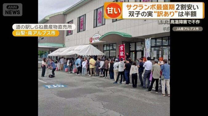 産地では行列