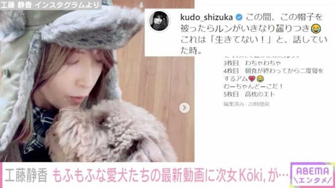 工藤静香、愛犬とふれあう動画を公開し「天国ですね」「し～ちゃんもワンちゃん達も可愛い」と反響 1枚目