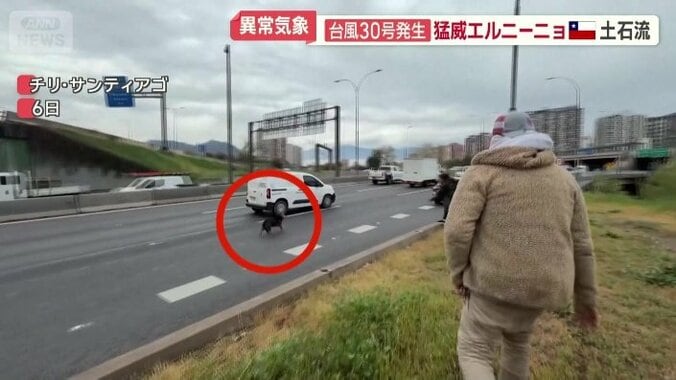 自力で川からはい上がる