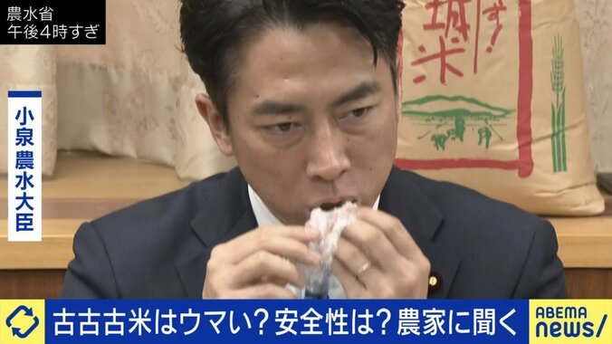 小泉進次郎農水大臣