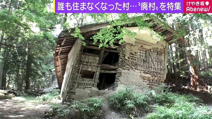 【写真・画像】「想像と重ならない」「意外と人に会う」、500カ所を回った研究家が語る“廃村”の魅力 1枚目 | 国内 | ABEMA TIMES