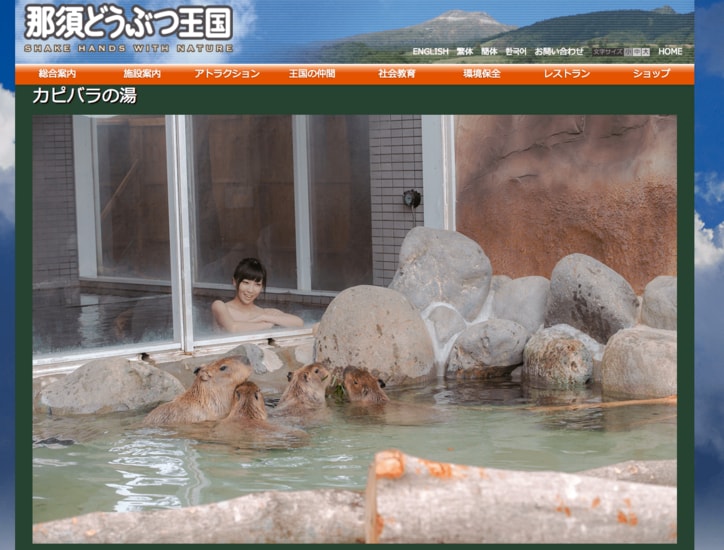 カピバラと混浴？　那須にある露天風呂が斬新すぎて、風呂どころじゃない