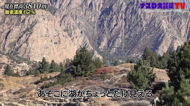 「知識ではなく体験」ナスD、標高3000メートル越えの絶景で「森林限界」を体感