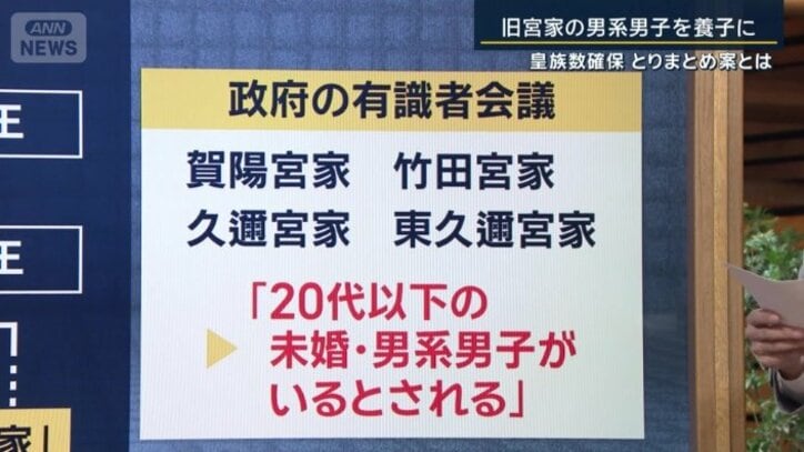 旧宮家の男系男子を養子に迎える案